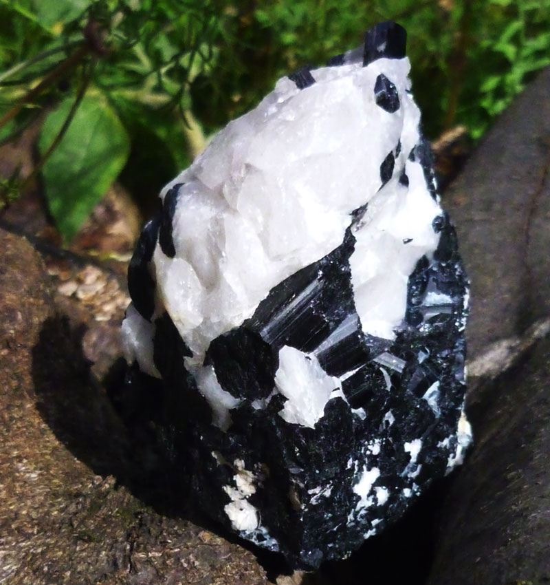 Schwarzer Turmalin Schörl große Rohsteine mit Standfläche aus Brasilien
