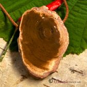 Versteinertes Holz (Baumquarz), Anhänger große Scheibe seitlich gebohrt