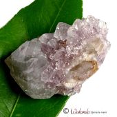 Kaktusquarz (Spirit-Quarz, Amethyst-Sonderform), Südafrika