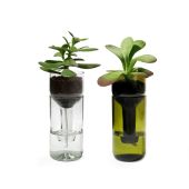 Pflanzgefäß - self watering bottle