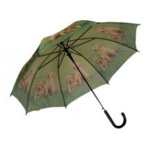 Regenschirm Stockschirm, Motiv Hundewelpen