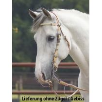 Busse Western-Showzaum / Kopfstück Cimarron (ohne Zügel, Gebiss, Kinnkette)