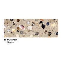 Motiv Fotokarton  300g/m² Muscheln