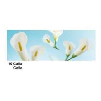 Extra starkes Transparent Papier 50 x 61cm Flora, 115 gr, Calla