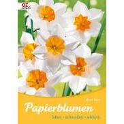 Papierblumen falten,schneiden,wickeln