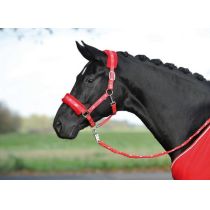 Halfter Busse Silverhorse mit Soft-Fleece, Pony