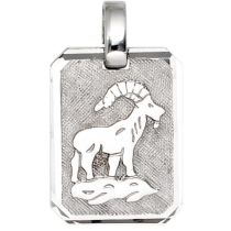 Anhänger Sternzeichen Steinbock 925 Silber matt