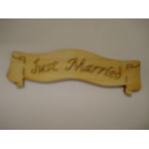 Banner Just married