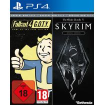 Bethesda Special RPG Pack (The Elder Scrolls V: Skyrim Special Edition + Fallout 4 GOTY)