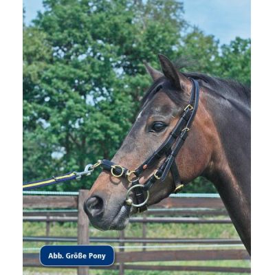 Kappzaum Professional solibel Pony | 129810-06 PON