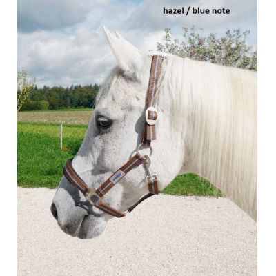 Navy Pony - Halfter Supreme, weich unterlegt | 601207-06