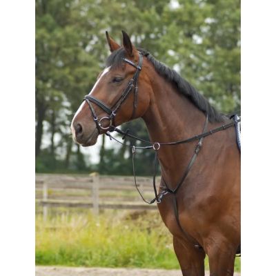 Pony - Martingal Basic PRO | 125102-06