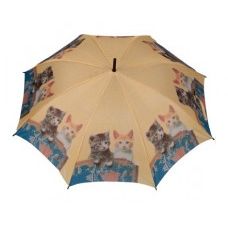 Regenschirm Stockschirm, Motiv Katzenbabys | 1719-IKO CAT