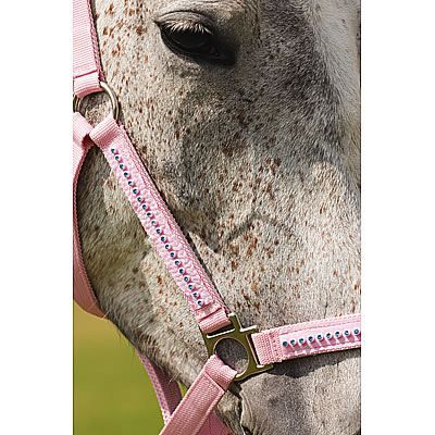 Rosa, Pony - Nylonhalfter Diamond | 510-120-55