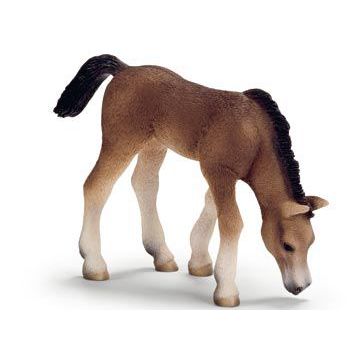 Schleich Araberfohlen grasend Schleichpferd  | 13652-54