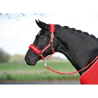 Terracotta - Halfter Busse Silverhorse mit Soft-Fleece, Pony | 601002-006