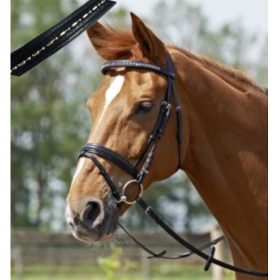 Trense Busse solibel Single PONY | 120043-06 PON