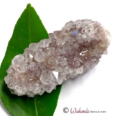 Kaktusquarz (Spirit-Quarz, Amethyst-Sonderform), Südafrika | 311-2306