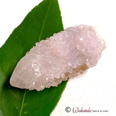 Kaktusquarz (Spirit-Quarz, Amethyst-Sonderform), Südafrika | 311-2308