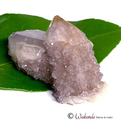 Kaktusquarz (Spirit-Quarz, Amethyst-Sonderform), Südafrika | 311-2310