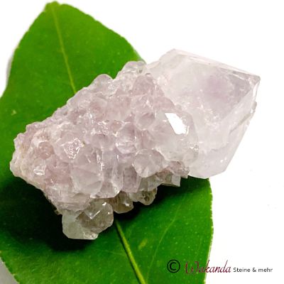 Kaktusquarz (Spirit-Quarz, Amethyst-Sonderform), Südafrika | 311-2315