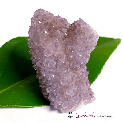 Kaktusquarz (Spirit-Quarz, Amethyst-Sonderform), Südafrika | 311-2316