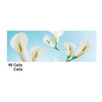 Extra starkes Transparent Papier 50 x 61cm Flora, 115 gr, Calla | 653795775