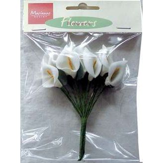 Flowers Callas JU 0869 | JU0869