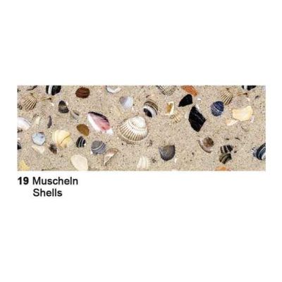 Motiv Fotokarton 300g/m² Muscheln | 12722219