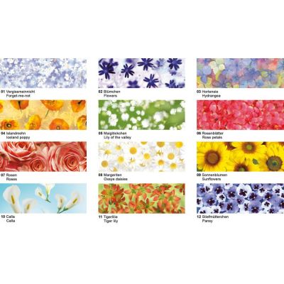 Transparentpapier Flora 115g/qm Veilchen | 50214601