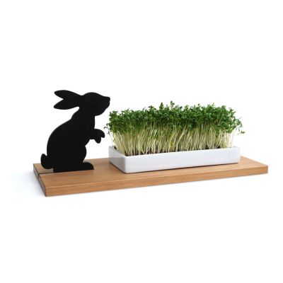 Kresseschale mit Schattenfigur Hase | 40053 / EAN:4023116403530